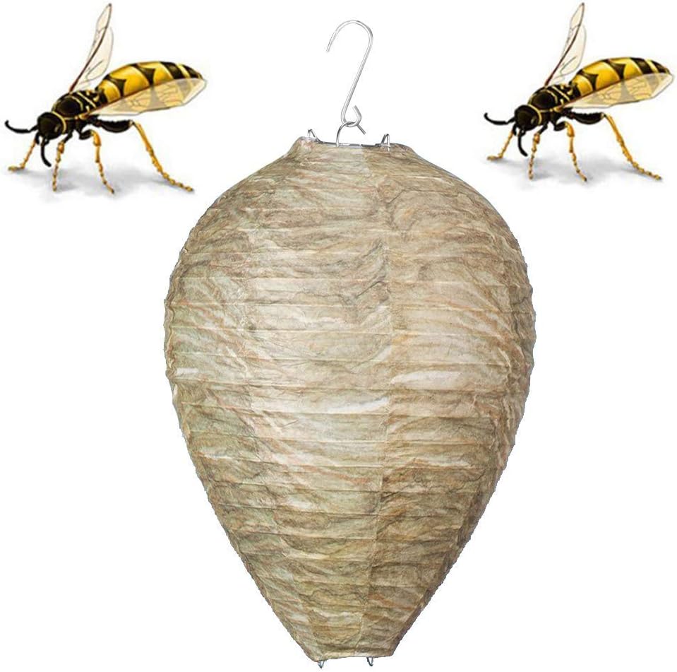 6 Pcs Wasp Nest Decoy Natural And Safe Hanging Wasp Deterrent Repellent Eco Friendly Decoy Repellent For Wasps Hornets Yellowjackets 11x8 7 Inch Amazon Co Uk Baby