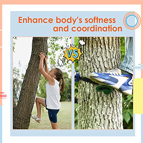 SEAAN Rock Climbing Holds for Trees Rock Climbing Holds for Kids Adults