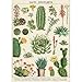 Cavallini Decorative Paper - Cacti & Succulents 20