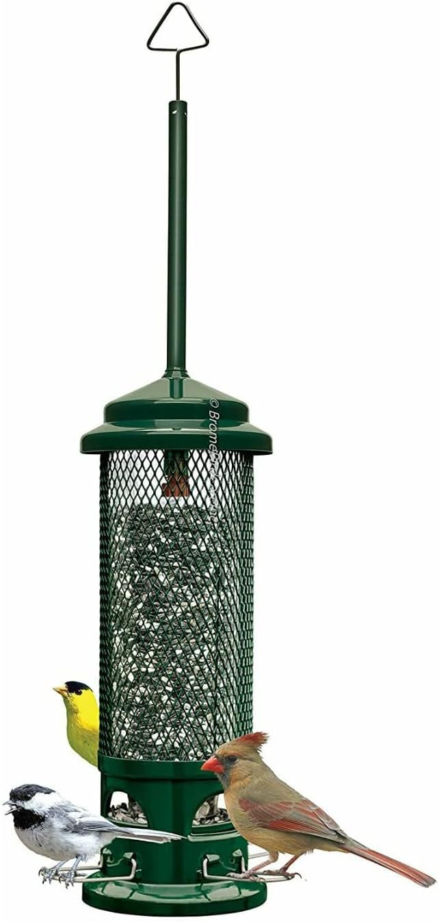 Backyard Birding & Wildlife - Squirrel Buster Legacy Squirrel-proof Bird Feeder w/4 Metal Perches, 2.6-pound Seed Capacity