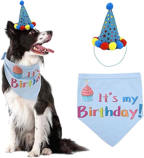 Dog birthday bandana and hat Clearance