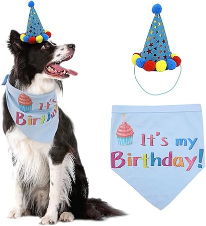 birthday girl bandana dog