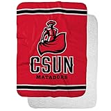 California State University Northridge Primary Logo