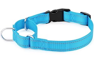 PLUTUS PET Reflective Martingale Collar with Quick Snap Buckle,No Pull Dog Choker Collar for Small Medium Large Dogs,S,Blue