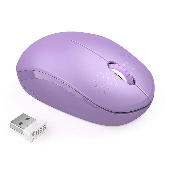 Seenda Wireless Mouse with Nano USB Receiver Noiseless 2.4G Wireless