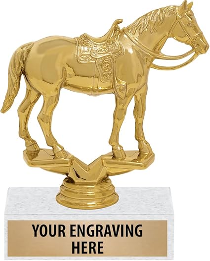 Western awards and engraving Clearance