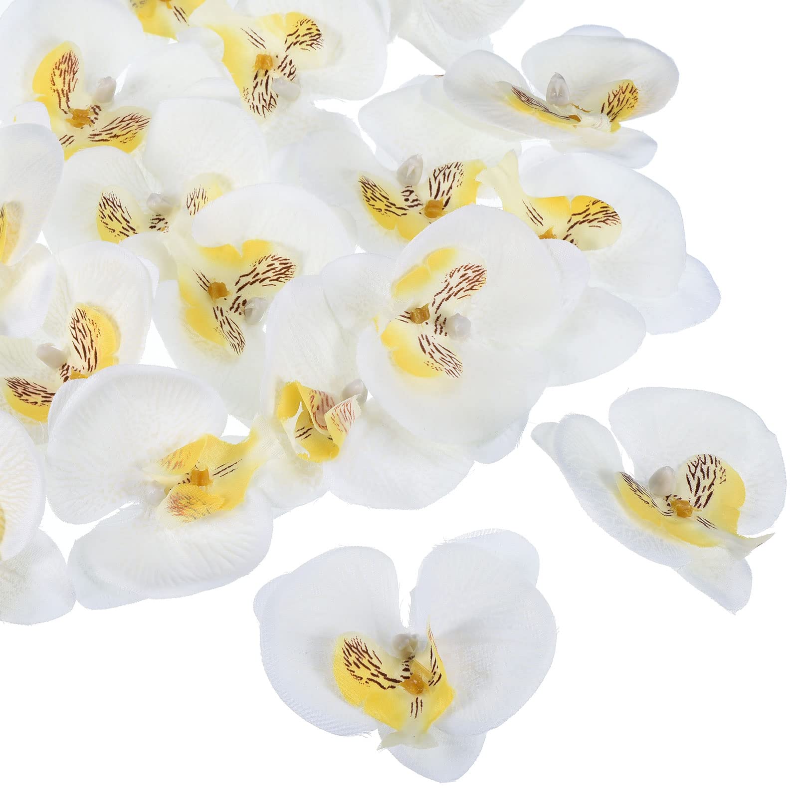 PATIKIL 2.8" Artificial Orchid Flower Heads, 40 Pack Silk Phalaenopsis Fake Butterfly Orchid Heads for Wedding Floral Bouquet Decor DIY Craft Making, White