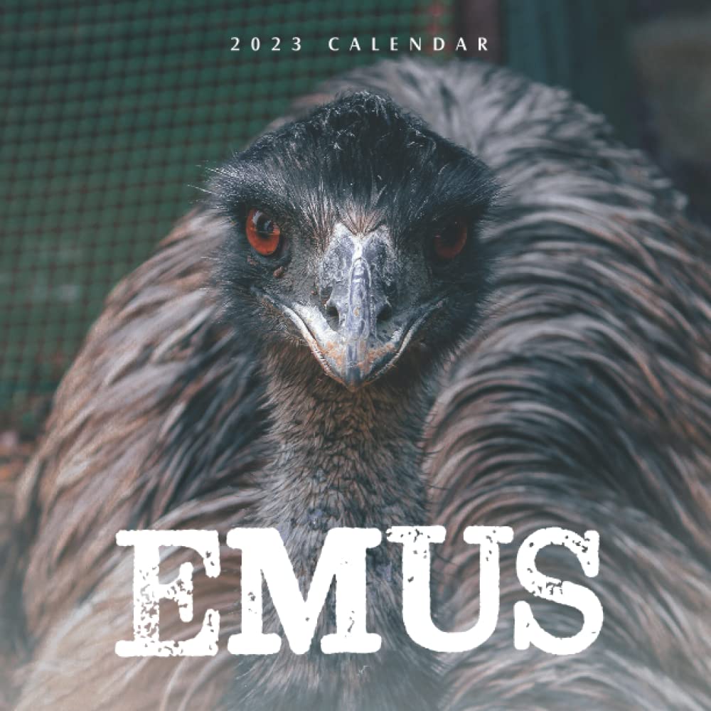 Emu Calendar 2023 Emus Calendar: Beautiful 18-Month 2023 Calendar - Gift For Family, Friends  And Yourself - Thick Paper - Home & Office Organizer - Large Monthly Grid  For Note And Planning: Rosabella, Jena: 9798442731781: Amazon.com: Books