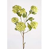 Afloral Faux Flowers Snowball Flower Stem in Green - 43.5"