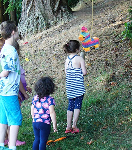 3 Donkey+Pinata+Birthday+Supplies+Multicolored