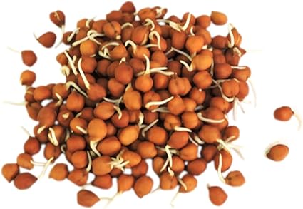 Sproutamins Brown Channa Sprouts, 200g