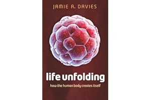 Life Unfolding: How the human body creates itself