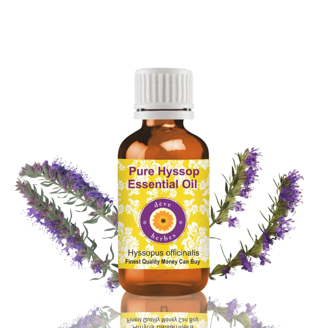 Deve Herbes Pure Hyssop Essential Oil (Hyssopus officinalis) Steam Distilled Natural Therapeutic Grade 5ml (0.16 oz)