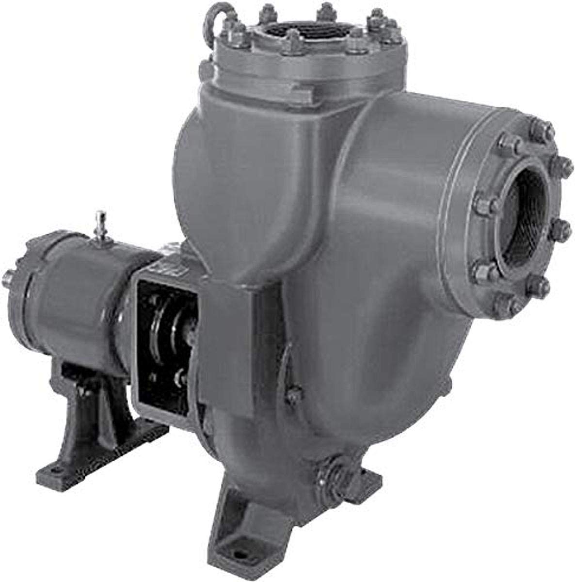 MP Pumps 33680 FLOMAX40 Bomba centrífuga autocebada, hierro fundido