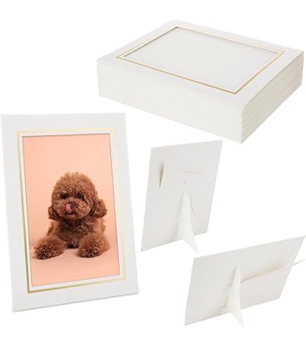 Lot De 50 Dossiers Photo Carton - Pour Photos 10x15 Ou 13x18 Cm - Bord Doré, Blanc - Idéal Mariage, Diplôme