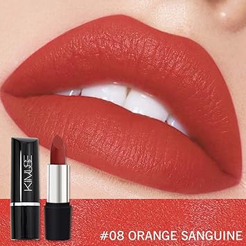 Feifish Rouge A Levre Marron Mat Longue Tenue Maquillage