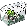 House Shape Close Glass Geometric Terrarium Tabletop Succulent Plant House Garden Planter Moss Fern Swing Lid, Flower Pot for Plants Succulent, Air Plant (Black)