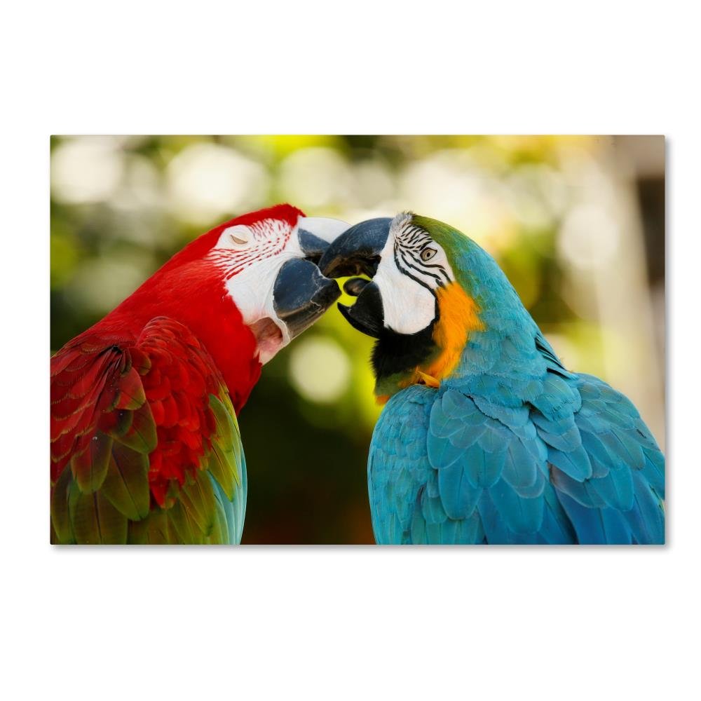 Trademark Marca Fine Art de El Beso de decoración de la Pared ...