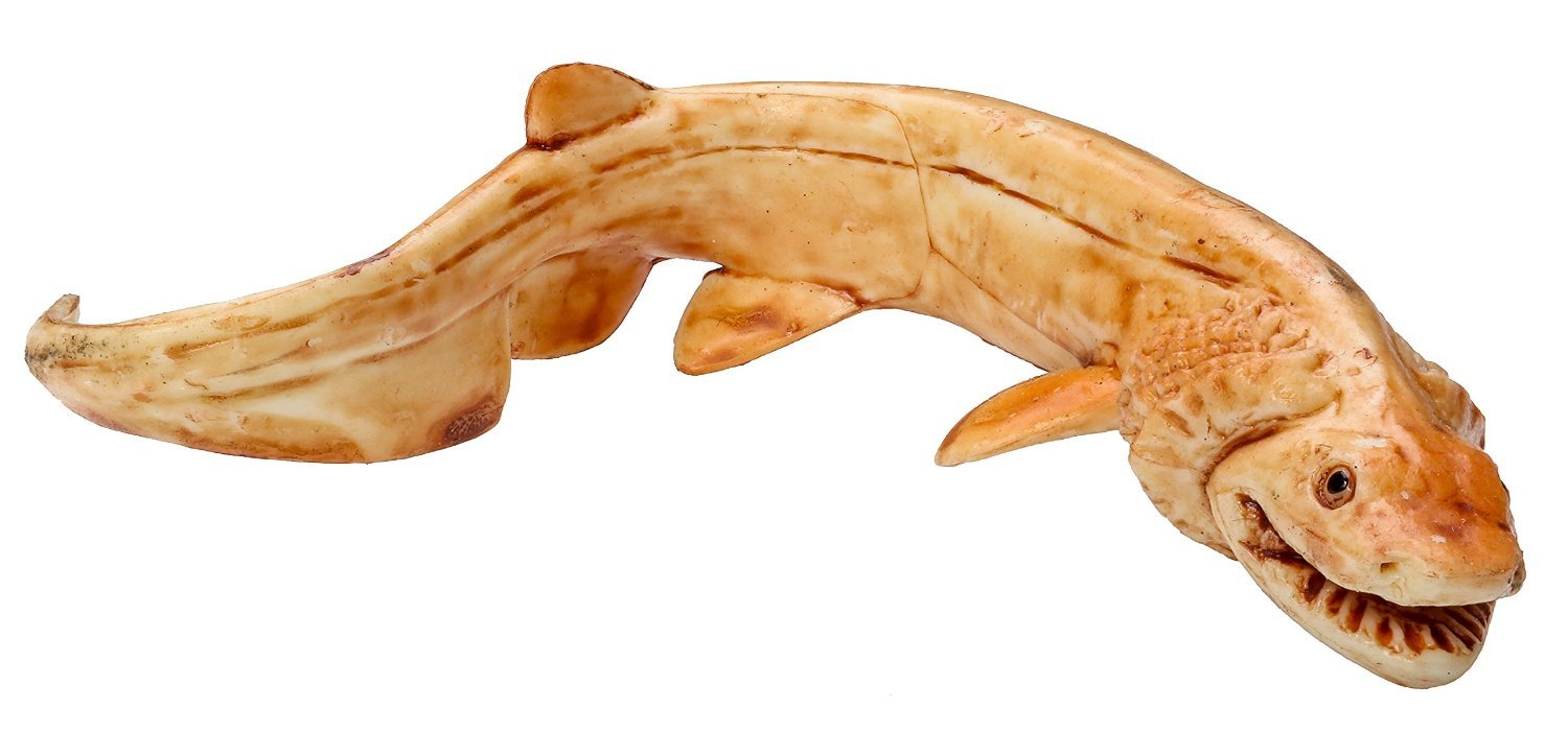 Safari Ltd Prehistoric Sea Life TOOB - Buy Online in UAE. | Toys And