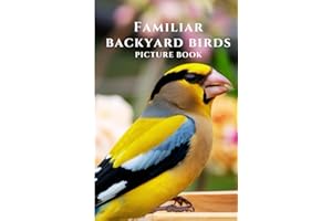 Familiar Backyard Birds: Picture Book For Dementia Patients and Seniors with Alzheimer's and Memory Loss (Mindful Alzheimer's and Dementia Activities)