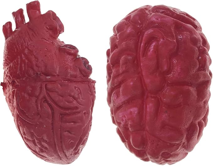 Alrsodl Heart and Brain,Halloween Props Realistic Fake