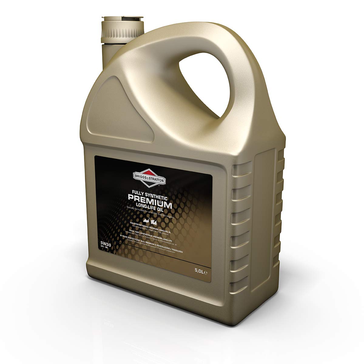 Briggs & Stratton 100009S 4-Stroke 5W30 Long-Life Synthetic Engine Oil, 5.0 Litre, Black