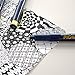 Sakura Pigment Ink Pen, Pigma Micron 02, Black (ESDK02#49)