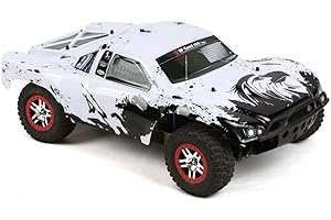 SummitLink Custom Body Eagle Style Compatible for 1/10 Scale RC Car or Truck (Truck not Included) SS-EAG-03