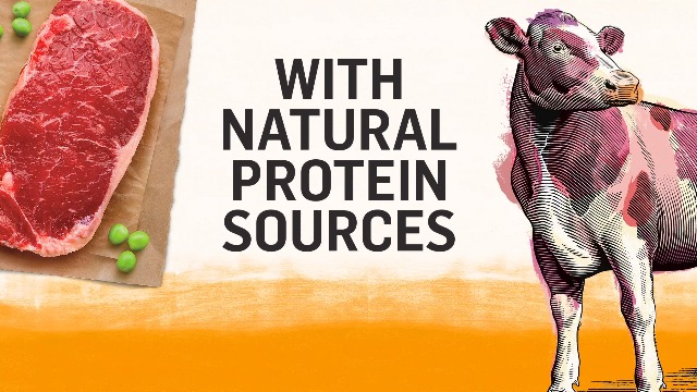 6 Purina+Beyond+Natural+Whitefish+Recipe