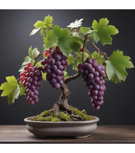 grape Grape Ape (28g - oz) - Eighth Brother