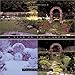 A Year in the Garden: Four Seasons of Texture, Color, and Beauty by 