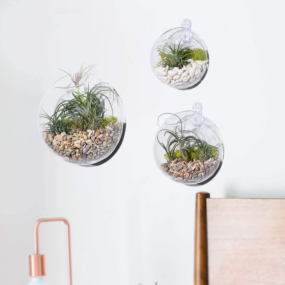 Set of 3 Wall Hanging Terrariums Indoor Plants Holders Wall Glass Vase for Flowers Wall Mounted Planters for Succulents Air Plants Wall Decoration for Sunroom Living Room: Garden & Outdoor