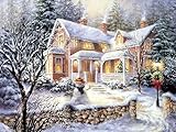 Diamond Painting, DIY 5D Diamond Painting Kits for adults Kids Crystal Rhinestone Diamond Embroidery Cross Stitch Diamond Art Craft for Home Wall Decor Christmas 12X16 inches