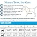 VIVAGLORY Rip Stop Dog Life Vest, Swimming Vest with Handle, Buoyancy for Doggy Puppy, Dog Life Jacket for Swimming & Boating, M, Blue