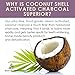 Coconut Activated Charcoal Powder, Natural Food Grade Tooth Whitening Solution