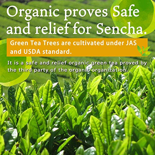 Organic Green tea Powder, Instant Sencha Powder, Konacha, Sushicha