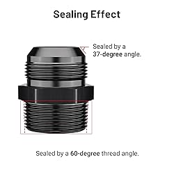 EVIL ENERGY 20AN Male Flare to 1-1/4" NPT Pipe