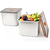 fecoqi 2 PCS Stainless Steel Food Storage Containers(67oz) with Lids Leak Proof & Airtight | Square Stainless steel freezer Containers,For Meal Prep,Fruit,Snack,Freezer