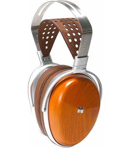 Amazon.com: HiFiMAN HE6se Full-Size Over Ear Planar Magnetic