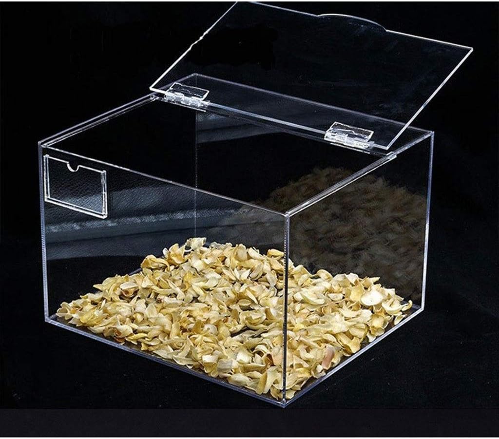 Jiangjun 10Pcs Transparent Plastic Folding Hinges, Durable Clear Acrylic Hinge Tools Cabinet Hardware Furniture Cabinet Door Hinges (Color : 25 33 3mm)