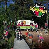 Motala Folkracefestival