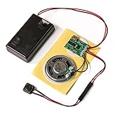 Talking Products, MP3 Sound Chip Module, 4MB