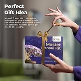 Grow Buddha Master Bonsai Growing Kit - Six Seed Indoor Bonsai Set view 6