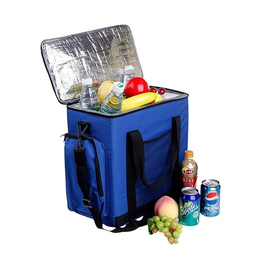 Neveras de Viaje | Refrigerador del Coche Refrigerador portátil de ...