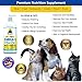 Apollos Pets Omega 3 Fish Oil for Dogs - Omega 3 for Dogs Plus Vitamin E - More EPA and DHA Than Salmon Oil - Treats Shedding, Itchy Skin, Allergies, and Joints - Made in USA 16 Ounce Liquid Pump