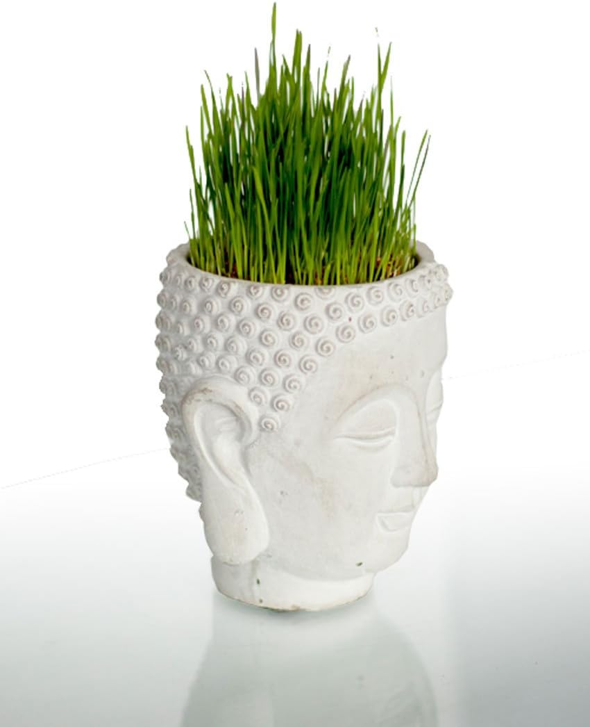 Vagabond Vintage, Cement Buddha Head Planter
