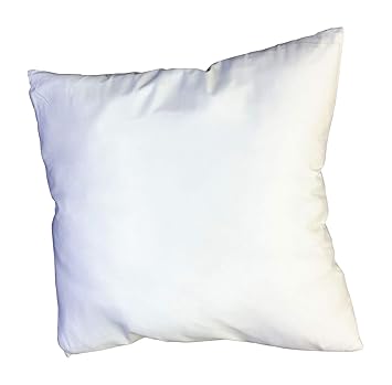 Buy Euro 28 X 28 Pillow Insert By Blowout Bedding Online At Low