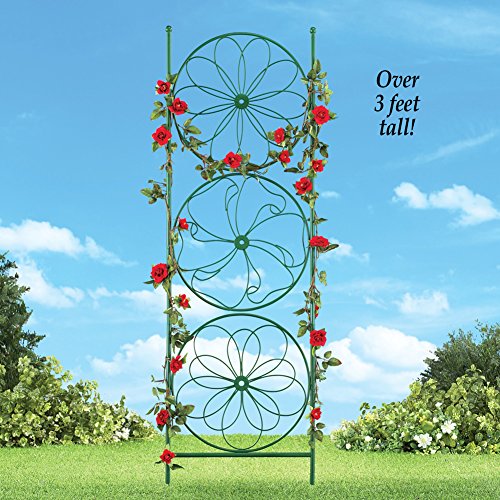 Decorative-Garden-Art-Trellis-Stake-Support-for-Climbing-Plants-115L-x-405-H