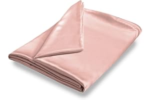 NSGZ 60" x 80" Satin Duvet Cover for Weighted Blanket, Luxury Silky Removable Satin Weighted Blanket Cover with 8 Ties Secure Fastening, Champagne Gold