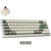 Keychron Q2 Max QMK Wireless Mechanical Keyboard, 65% Aluminum, White | 2.4 GHz Bluetooth 5.1 USB-C, Hot-swappable PBT Keycaps, Programmable Knob, Custom RGB Backlit for Mac/Windows/Linux
